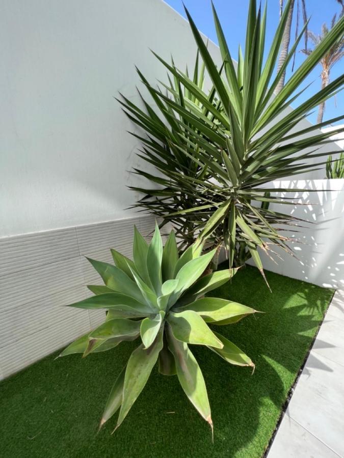 Corralejo Bristol Terrace Apartment Con Giardino Privato Esterno Exterior foto